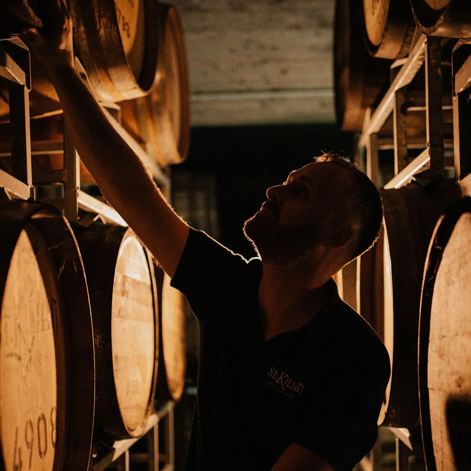 Blueberry Moonshine x Whisky - Image 6